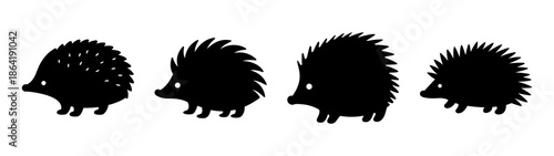 Sequence of growing hedgehogs