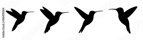 Four hummingbirds in flight