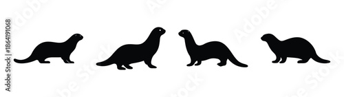 Empty vector file display