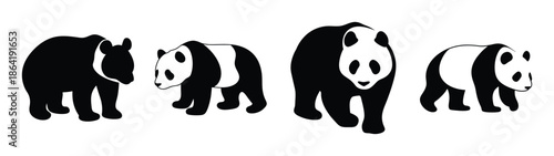 Empty vector file display