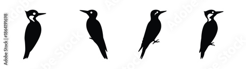 Simple vector file illustration