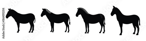 Empty vector file display