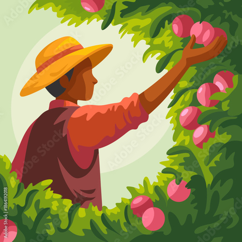In this vibrant image, a farmer in a hat is carefully picking ripe plums from a tree, representing agricultural labor, the connection with nature, and the fruit’s seasonal beauty and abundance.