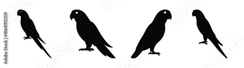 Empty vector file placeholder