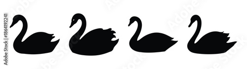 Empty vector file display