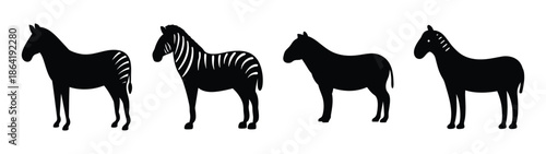 Empty vector file display