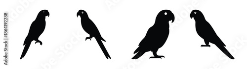 Empty vector file display