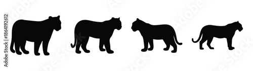 Simple vector file representation