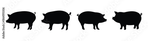 Placeholder image display