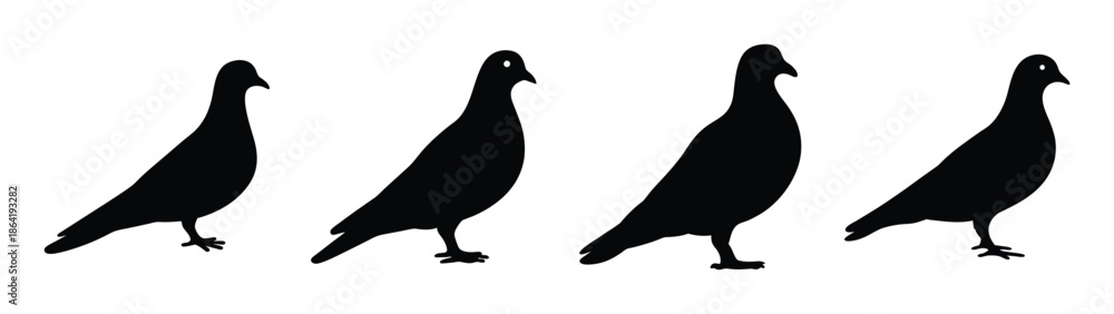 Fototapeta premium Empty vector file display