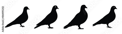 Empty vector file display