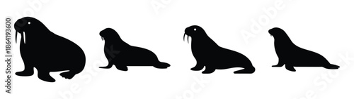 Empty vector file display