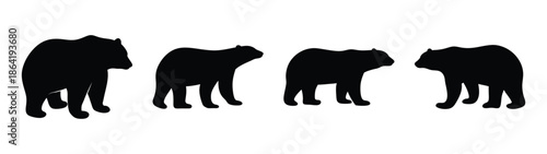 Empty vector file display