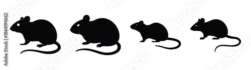 Placeholder image display