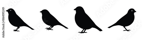 Empty vector file display