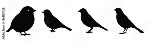 Empty vector file placeholder