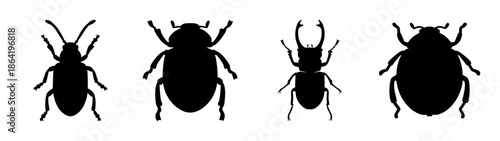 Four different types of beetles
