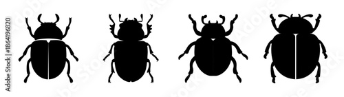 Four different types of beetles