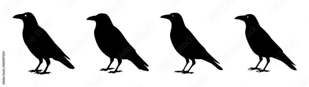 Fototapeta premium Four blackbirds standing in a row