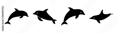 Four dolphins leaping in sequence