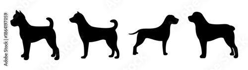 Silhouettes of four dogs