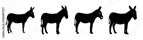 Four silhouetted donkeys in a row