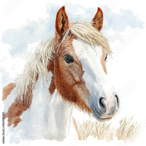 Horse Looking Curiously, clipart watercolor vector with vivid accents and harmonious tones, isolated on a white background.