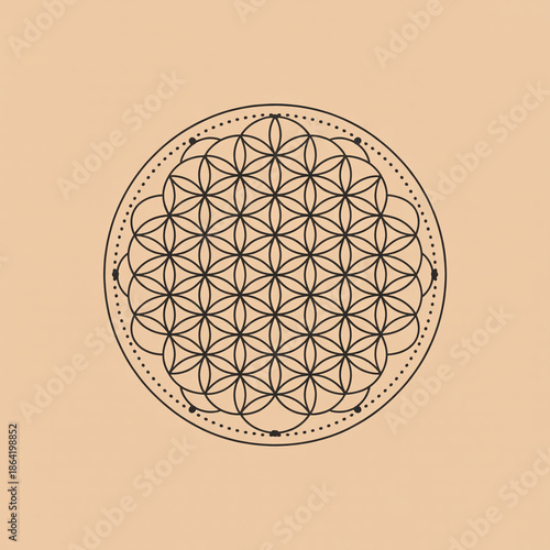 Black Flower of Life sacred geometry symbol on a light peach background geometric pattern