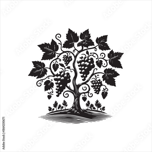 A black and white vector illustration of a grapevine with lush leaves and clusters of grapes on a clean white background.