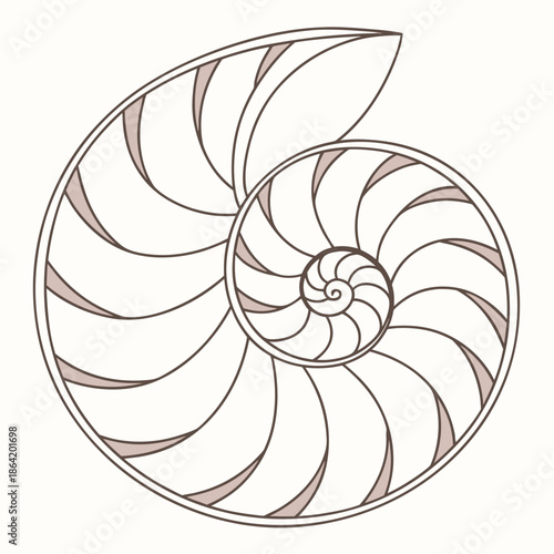 Spiral Shell Geometry Minimalist Design