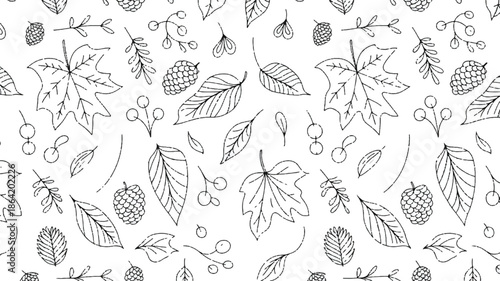black and white illustration of leaves and berries on white background