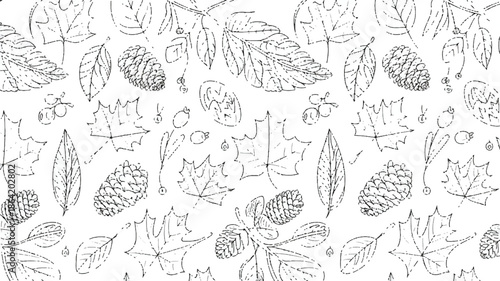 black and white illustration of various leaves and pine cones on white background