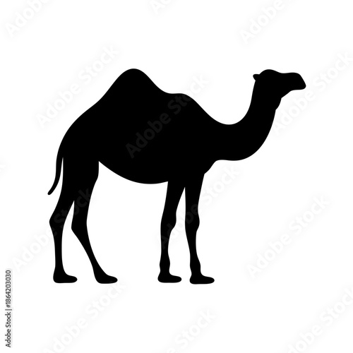 Silhouette of a camel
