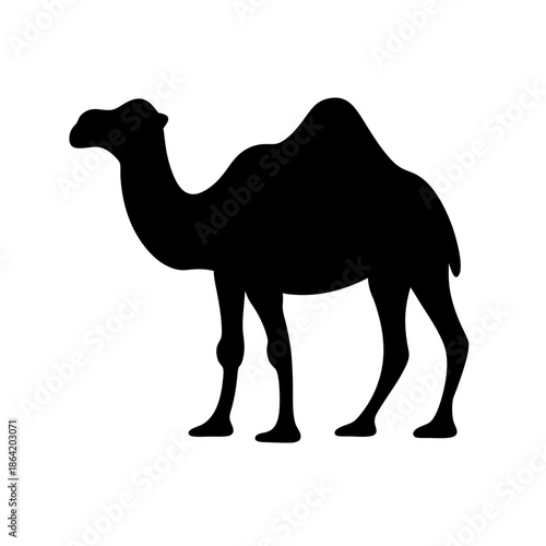 Silhouette of a camel