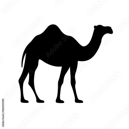 Silhouette of a camel