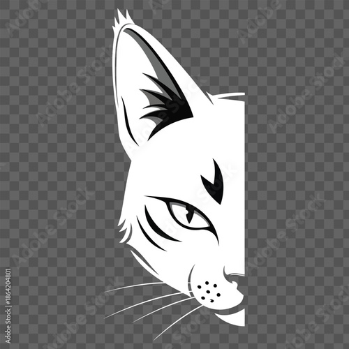 A cute black and white kitten vector illustration featuring a funny domestic feline face with expressive eyes and artistic sketch details for a modern pet mammal design
