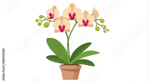Flat vector illustration of a beautiful potted orchid flower with green leaves and buds