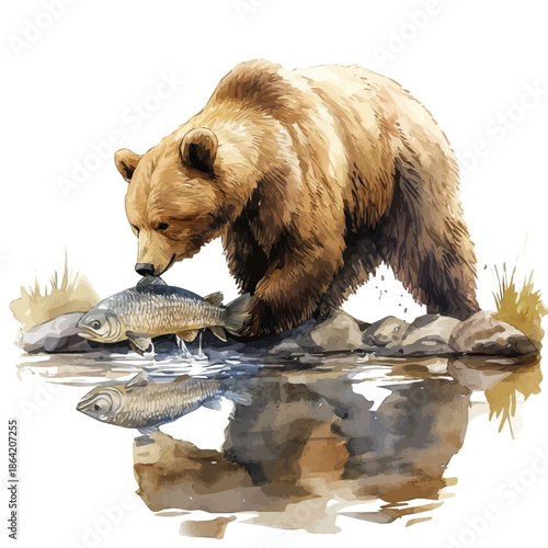 watercolor of Bear Catching Fish, vector, isolated on a white background.