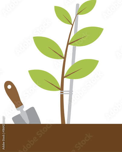 Young green plant sapling tied to a stake in soil with a garden trowel tool for spring planting concepts.