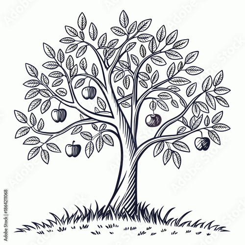 Minimal Line Art Apple Tree with Hanging Fruit