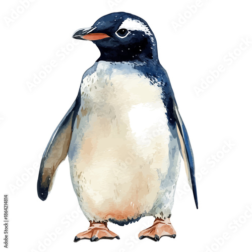 Penguin, watercolor vector depicting playful antics, isolated on a white background.