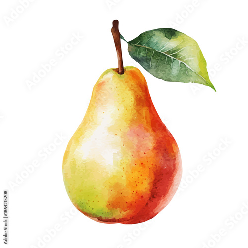 Pear, watercolor illustration featuring soft shadows and luminous, isolated on a white background.