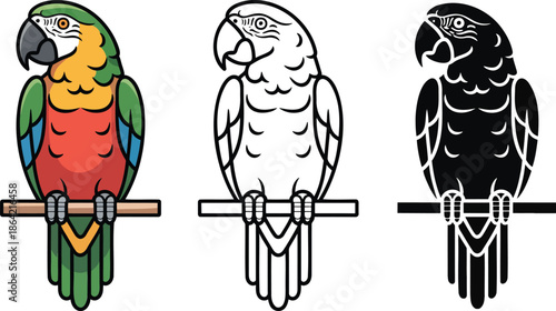 Parrot silhouette & Outline and illustration set isolated on transparent background