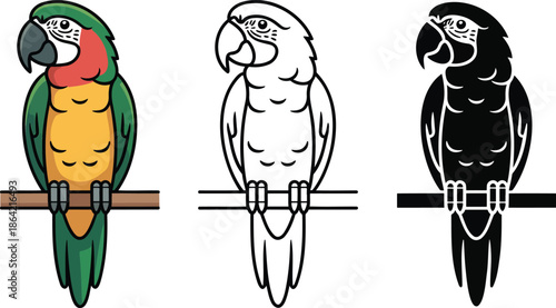 Parrot silhouette & Outline and illustration set isolated on transparent background