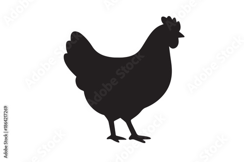 Rooster and hen cartoon illustration isolated on white background