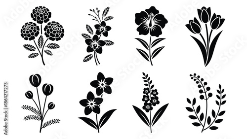 Black and white floral with various plant flowers plants