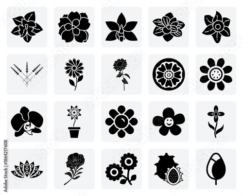 A Diverse Botanical Variety Of Flowering Plants – Featuring Orchid, Lavender, Sunflower, Lotus, And Daisy Blooms