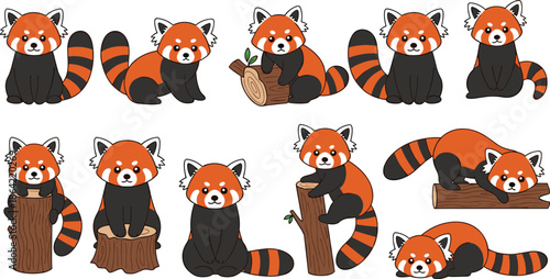 Cute red panda cartoon characters set playful forest animal poses vector illustration