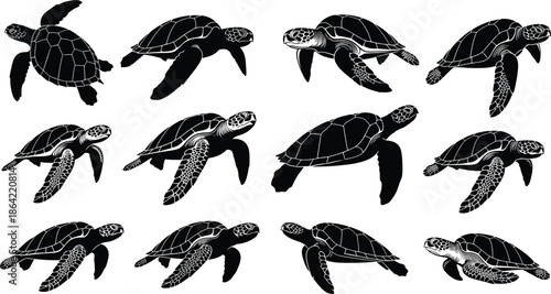 Sea turtle silhouettes set swimming marine reptile animal vector illustration collection