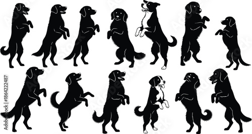 Silhouettes of dogs in pattern with one distinct figure, black shapes, transparent background, visual puzzle and recognition illustration